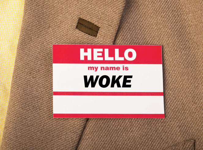 sc-wokeism-fox-news-esg-page